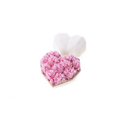 [Pre-Order] White Luxury Heart Shaped Preserved Flower Box - Pink Carnation - Unreal Florist US